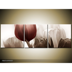 Obraz Květina z tulipánů - hnědá