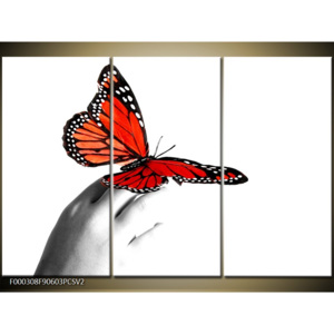 Obraz červený motýl
