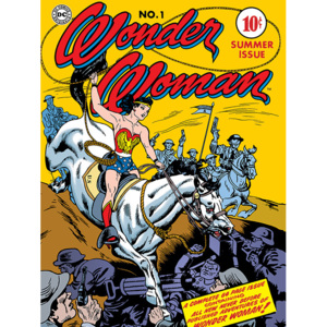 Obraz na plátně Wonder Woman - Adventure, ( x cm)