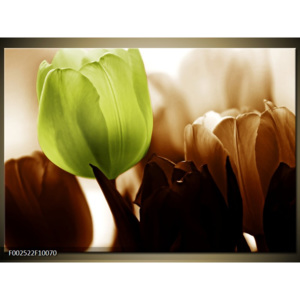 Obraz Zátiší - tulipány hnědá