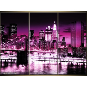 Obraz Most k velkoměstu - fialová