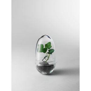 Mini skleník grow varianta: small Ø8, H 14 cm, 260 g