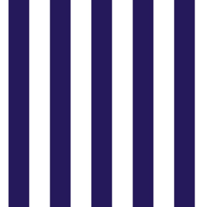 Tapety Vertical Stripes 10cm Navy Blue & White