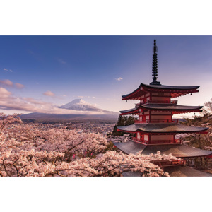 Plakát, Obraz - Mount Fuji Blossom, (91,5 x 61 cm)