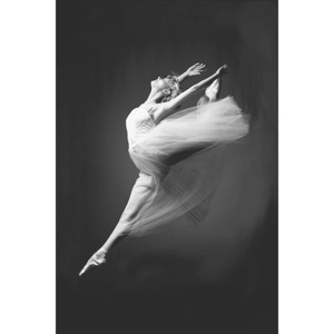 Plakát, Obraz - Ballerina - grace in motion, (61 x 91,5 cm)
