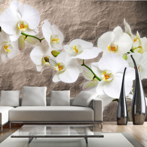 Fototapeta - Bílá orchidej 200x154