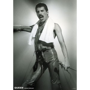 Plakát, Obraz - Queen - Freddie Mercury, (59 x 84 cm)
