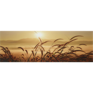 Obraz Skleněný Grass Fog Multicolor 33/98/2 cm