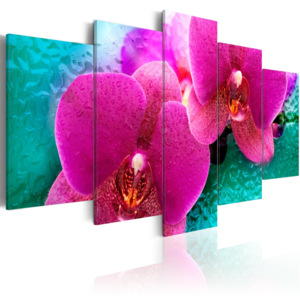 Obraz - Exotic orchids - 200x100