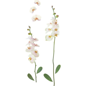 Nálepka Dekorační Orchidea Multicolor 50/70 cm