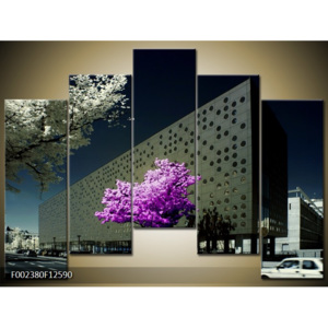 Obraz Moderní architektura - fialová