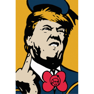 Plakát, Obraz - Tv Boy - Angry Donald, (61 x 91,5 cm)