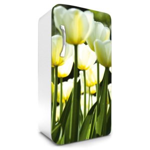 Dimex | Fototapeta na lednici - White tulips | 65 x 120 cm