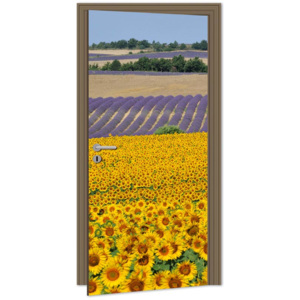 Dimex | Samolepicí fototapeta na dveře - Sunflowers (Slunečnice) | 95 x 210 cm