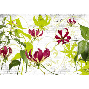 KOMAR | Fototapeta květiny - Gloriosa 8-899 | Rozměr 368 x 254 cm