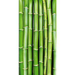 Dimex | Fototapeta na podlahu - Bamboo | 85 x 170 cm