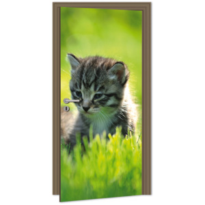 Dimex | Samolepicí fototapeta na dveře - Kitten (Kotě) | 95 x 210 cm