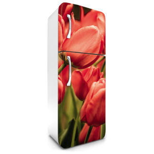 Dimex | Fototapeta na lednici - RED TULIPS | 65 x 180 cm