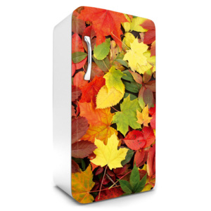 Dimex | Fototapeta na lednici - Colourful Leaves | 65 x 120 cm