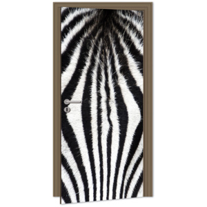 Samolepicí fototapeta na dveře - Zebra | 95 x 210 cm