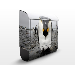 Poštovní schránka s potiskem Pinguin