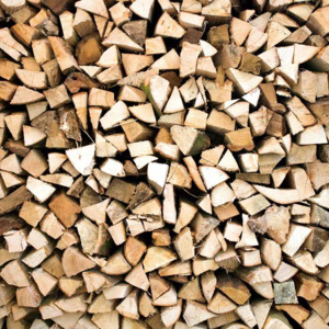 Dimex | Fototapeta na podlahu - Timber Logs | 170 x 170 cm