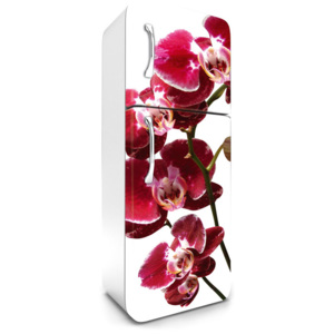 Dimex | Fototapeta na lednici - ORCHID | 65 x 180 cm