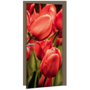 Dimex | Samolepicí fototapeta na dveře - Red Tulips (Tulipány) | 95 x 210 cm