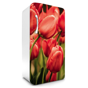 Dimex | Fototapeta na lednici - RED TULIPS | 65 x 120 cm