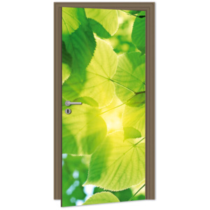 Dimex | Samolepicí fototapeta na dveře - Leaves (Listy) | 95 x 210 cm