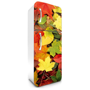 Dimex | Fototapeta na lednici - Colourful Leaves | 65 x 180 cm