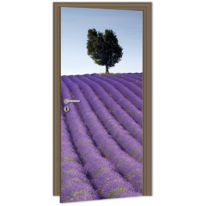 Dimex | Samolepicí fototapeta na dveře - Lavender (Levandule) | 95 x 210 cm