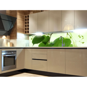 Dimex | Fototapeta do kuchyně - ZELENÉ LISTY - GREEN LEAVES | 180 x 60 cm