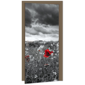 Dimex | Samolepicí fototapeta na dveře - Poppies (Vlčí máky) | 95 x 210 cm