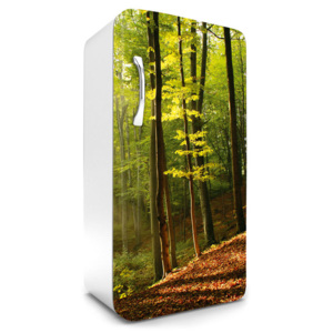 Dimex | Fototapeta na lednici - Forest | 65 x 120 cm
