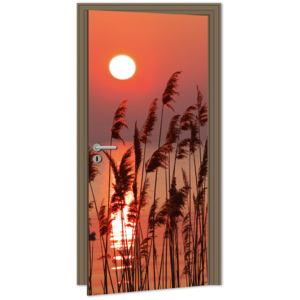 Dimex | Samolepicí fototapeta na dveře - Rákos u jezera | 95 x 210 cm