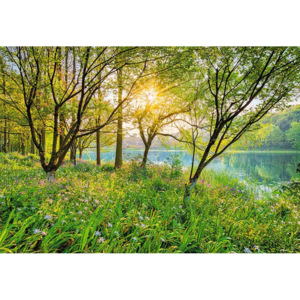 KOMAR | Fototapeta Spring Lake 8-524 | Rozměr 368 x 254 cm