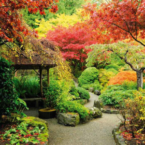 Dimex | Fototapeta na podlahu - Japanese Garden | 170 x 170 cm