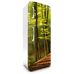 Dimex | Fototapeta na lednici - Forest | 65 x 180 cm