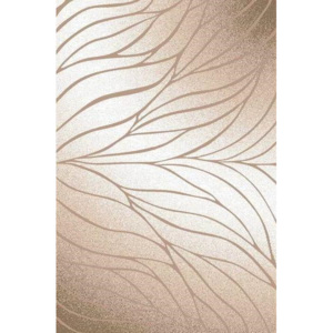 Chlupatý kusový koberec Luna 2460/brown hnědý Typ: 80x150 cm