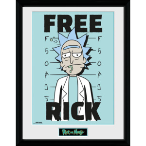 Obraz na zeď - Rick and Morty - Free Rick