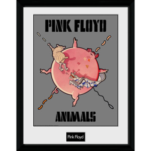 Obraz na zeď - Pink Floyd - Animals