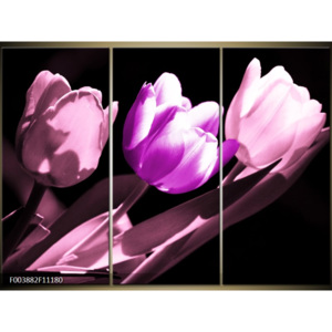 Moderní obrazy květin F003882F11180