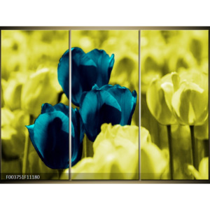 Moderní obrazy květin F003751F11180