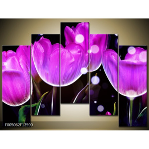 Moderní obrazy květin F005062F12590