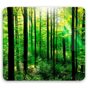 Ochranná skleněná deska FOREST na sporáky - velká, WENKO4008838616550