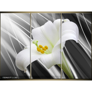 Moderní obrazy květin F004697F11180