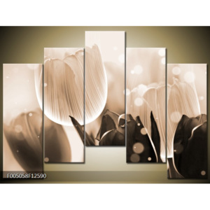 Moderní obrazy květin F005058F12590