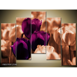 Moderní obrazy květin F003793F12590