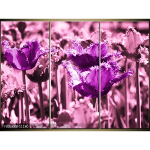 Moderní obrazy květin F003889F11180